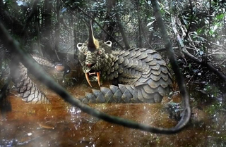 Illustration for article titled A Field Guide to Cryptids From Europe and Africa
